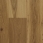 Hickory, 7.5\