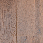 Oak