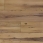 Cashew