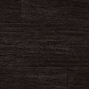 Midnight Oak