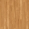 Cedar