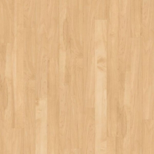 Canadian Maple