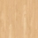 Canadian Maple