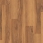 Lancewood