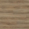 Remora